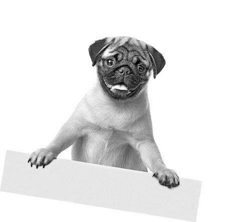 Иллюстрация к книге — Как стать звездой YouTube. Экстра_Эбби: Бунтарка [i_010.jpg]