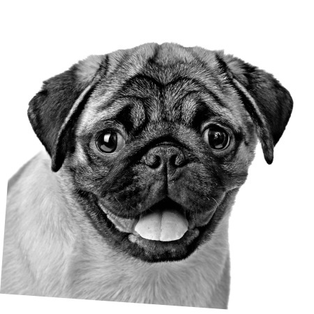 Иллюстрация к книге — Как стать звездой YouTube. Экстра_Эбби: Бунтарка [i_021.jpg]