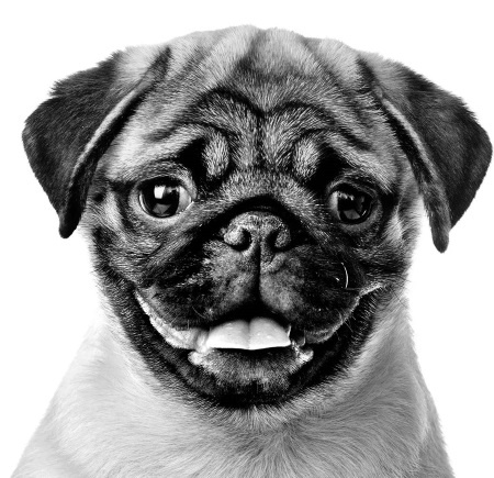 Иллюстрация к книге — Как стать звездой YouTube. Экстра_Эбби: Бунтарка [i_047.jpg]