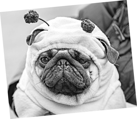 Иллюстрация к книге — Как стать звездой YouTube. Экстра_Эбби: Бунтарка [i_130.jpg]