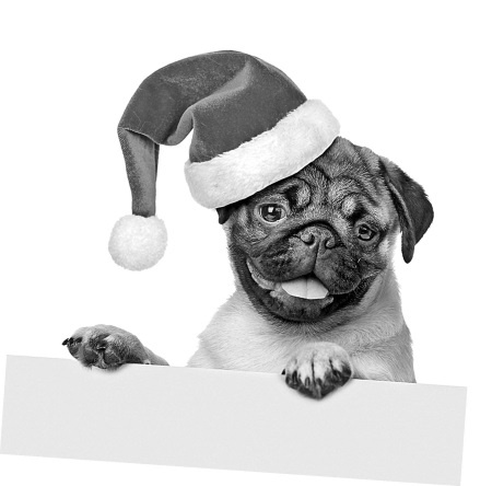 Иллюстрация к книге — Как стать звездой YouTube. Экстра_Эбби: Бунтарка [i_172.jpg]