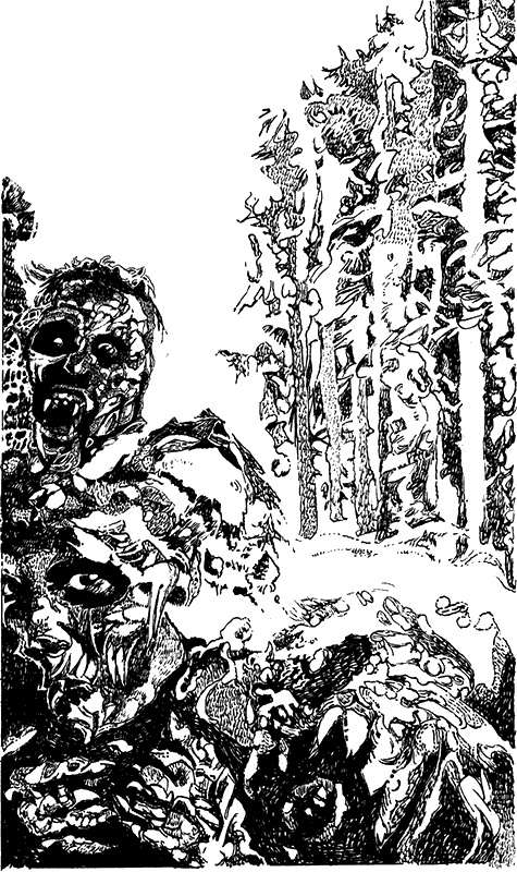 Иллюстрация к книге — Кошмар под Новый год [i_001.jpg]