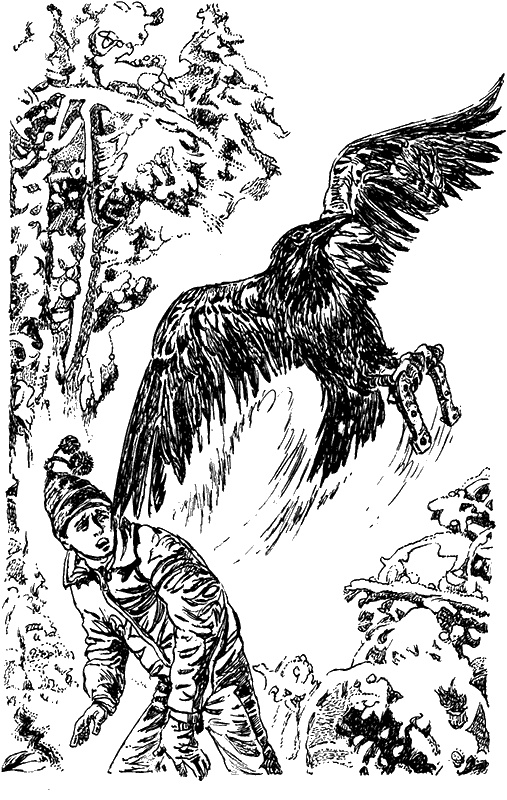 Иллюстрация к книге — Кошмар под Новый год [i_006.jpg]