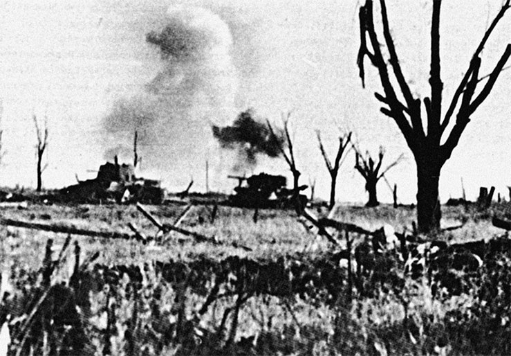 Иллюстрация к книге — Разгром дивизии «Мертвая голова». Демянская катастрофа эсэсовцев [_35.jpg]