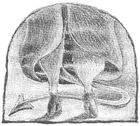 Иллюстрация к книге — Магия, зло и бриллиант. Чисто убийственная трилогия [i_007.jpg]