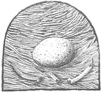 Иллюстрация к книге — Магия, зло и бриллиант. Чисто убийственная трилогия [i_019.jpg]