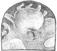 Иллюстрация к книге — Магия, зло и бриллиант. Чисто убийственная трилогия [i_031.jpg]