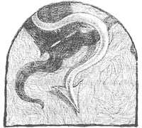 Иллюстрация к книге — Магия, зло и бриллиант. Чисто убийственная трилогия [i_034.jpg]