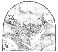 Иллюстрация к книге — Магия, зло и бриллиант. Чисто убийственная трилогия [i_035.jpg]