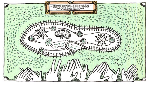 Иллюстрация к книге — Загадка жизни и грязные носки Йоса Гротьеса из Дрила [i_003.jpg]