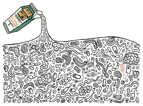 Иллюстрация к книге — Загадка жизни и грязные носки Йоса Гротьеса из Дрила [i_007.jpg]