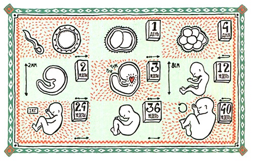 Иллюстрация к книге — Загадка жизни и грязные носки Йоса Гротьеса из Дрила [i_011.jpg]