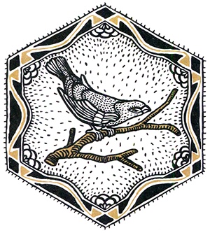 Иллюстрация к книге — Загадка жизни и грязные носки Йоса Гротьеса из Дрила [i_023.jpg]