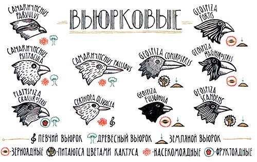 Иллюстрация к книге — Загадка жизни и грязные носки Йоса Гротьеса из Дрила [i_024.jpg]