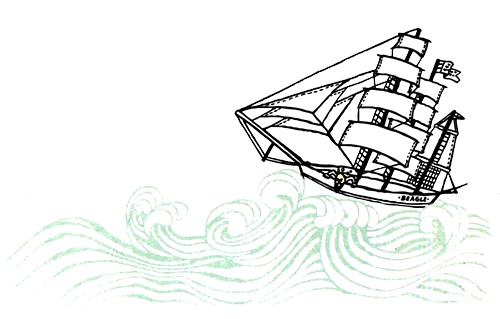 Иллюстрация к книге — Загадка жизни и грязные носки Йоса Гротьеса из Дрила [i_025.jpg]