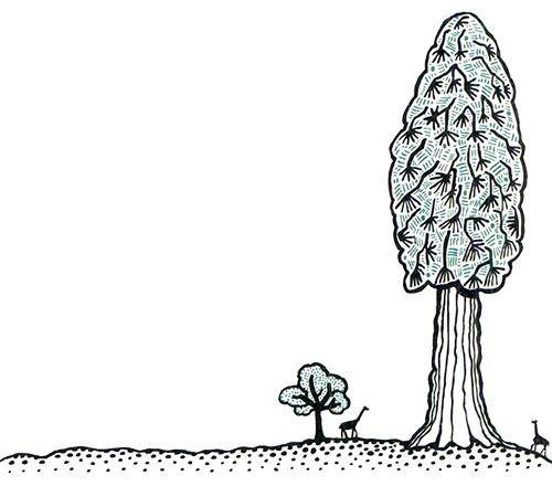 Иллюстрация к книге — Загадка жизни и грязные носки Йоса Гротьеса из Дрила [i_036.jpg]