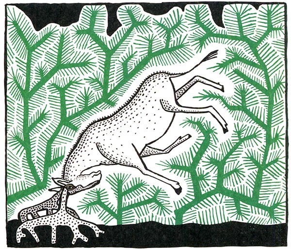 Иллюстрация к книге — Загадка жизни и грязные носки Йоса Гротьеса из Дрила [i_037.jpg]