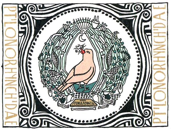 Иллюстрация к книге — Загадка жизни и грязные носки Йоса Гротьеса из Дрила [i_039.jpg]