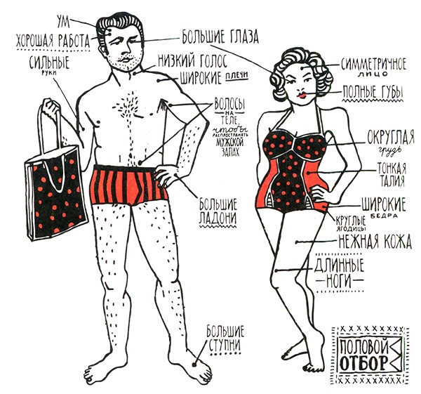 Иллюстрация к книге — Загадка жизни и грязные носки Йоса Гротьеса из Дрила [i_041.jpg]