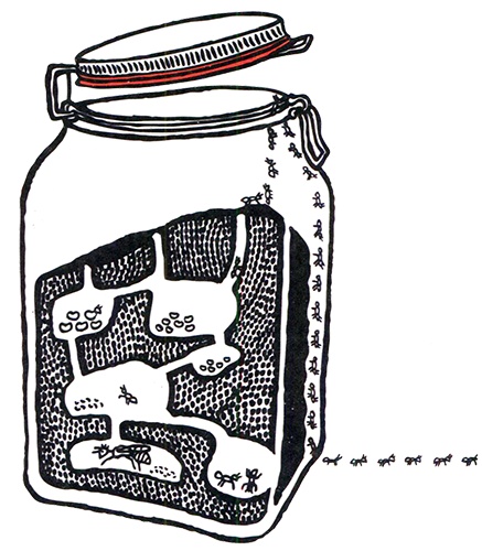 Иллюстрация к книге — Загадка жизни и грязные носки Йоса Гротьеса из Дрила [i_045.jpg]