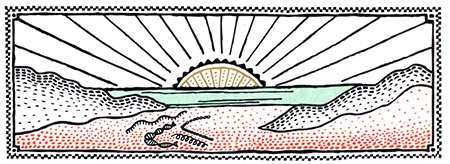 Иллюстрация к книге — Загадка жизни и грязные носки Йоса Гротьеса из Дрила [i_059.jpg]