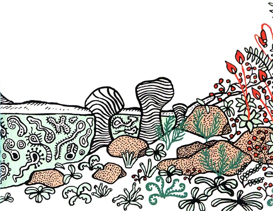 Иллюстрация к книге — Загадка жизни и грязные носки Йоса Гротьеса из Дрила [i_067.jpg]