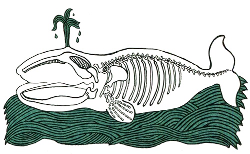 Иллюстрация к книге — Загадка жизни и грязные носки Йоса Гротьеса из Дрила [i_068.jpg]