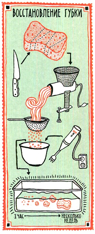 Иллюстрация к книге — Загадка жизни и грязные носки Йоса Гротьеса из Дрила [i_069.jpg]