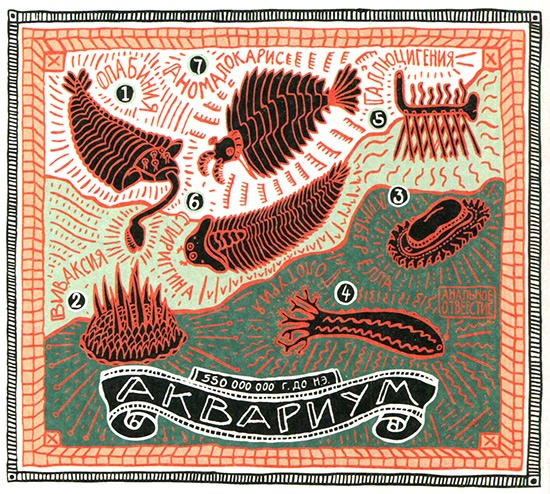 Иллюстрация к книге — Загадка жизни и грязные носки Йоса Гротьеса из Дрила [i_076.jpg]