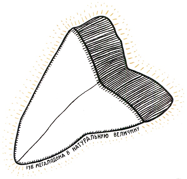 Иллюстрация к книге — Загадка жизни и грязные носки Йоса Гротьеса из Дрила [i_081.jpg]