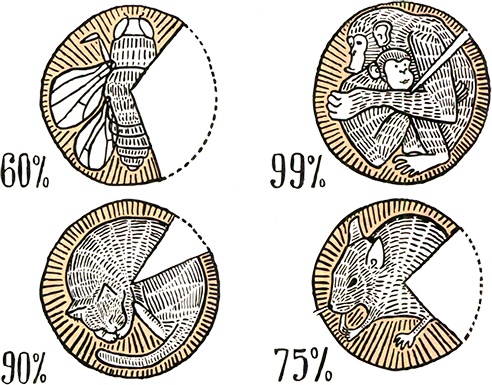 Иллюстрация к книге — Загадка жизни и грязные носки Йоса Гротьеса из Дрила [i_095.jpg]