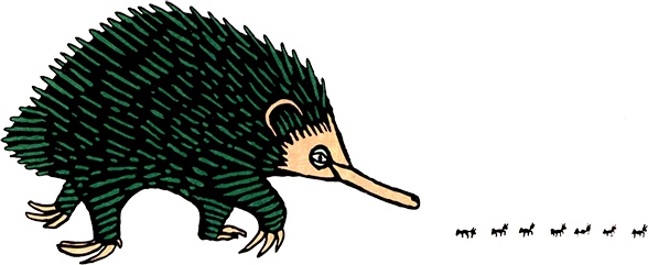 Иллюстрация к книге — Загадка жизни и грязные носки Йоса Гротьеса из Дрила [i_100.jpg]