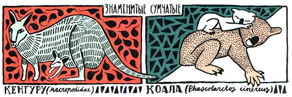 Иллюстрация к книге — Загадка жизни и грязные носки Йоса Гротьеса из Дрила [i_101.jpg]