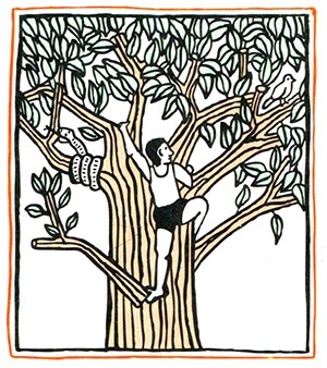 Иллюстрация к книге — Загадка жизни и грязные носки Йоса Гротьеса из Дрила [i_107.jpg]