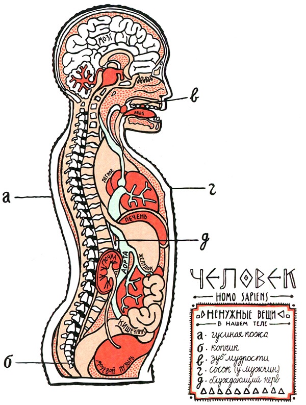 Иллюстрация к книге — Загадка жизни и грязные носки Йоса Гротьеса из Дрила [i_113.jpg]