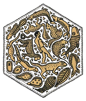 Иллюстрация к книге — Загадка жизни и грязные носки Йоса Гротьеса из Дрила [i_117.jpg]