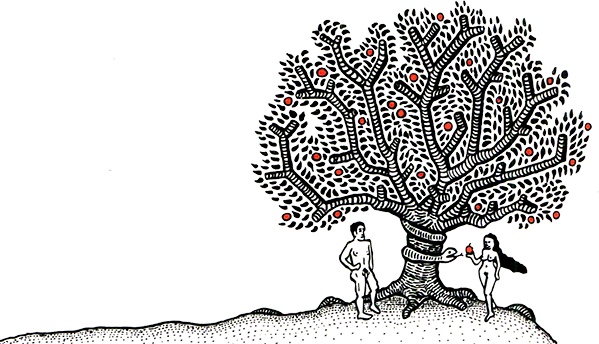 Иллюстрация к книге — Загадка жизни и грязные носки Йоса Гротьеса из Дрила [i_124.jpg]