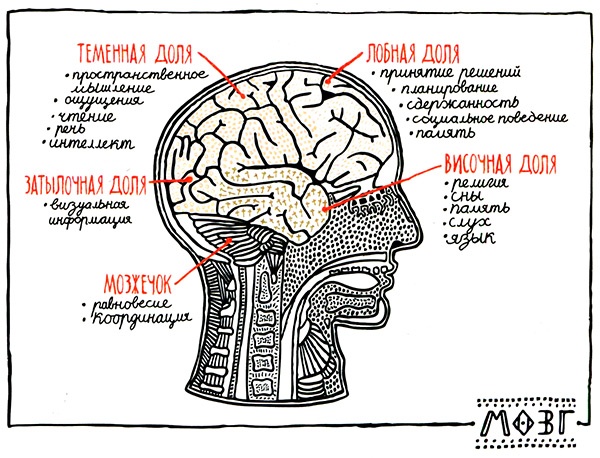 Иллюстрация к книге — Загадка жизни и грязные носки Йоса Гротьеса из Дрила [i_127.jpg]