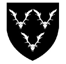 Иллюстрация к книге — Молли Блэкуотер. Остров Крови [i_005.jpg]