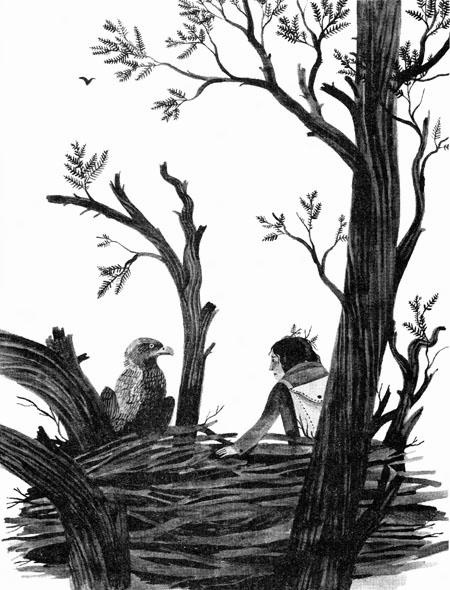 Иллюстрация к книге — Империя Дикого леса [i_015.jpg]