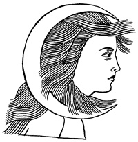 Иллюстрация к книге — Империя Дикого леса [i_033.jpg]