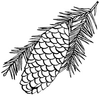 Иллюстрация к книге — Империя Дикого леса [i_049.jpg]