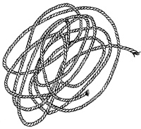 Иллюстрация к книге — Империя Дикого леса [i_054.jpg]