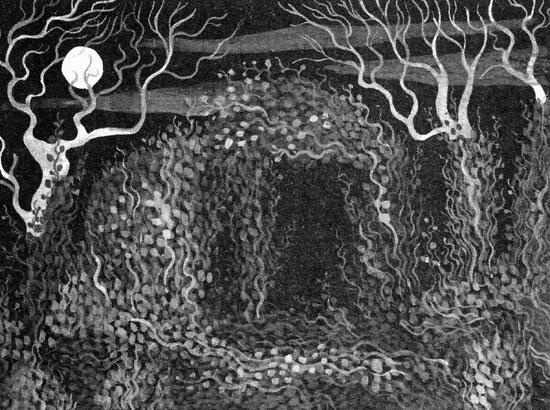 Иллюстрация к книге — Империя Дикого леса [i_067.jpg]