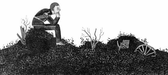 Иллюстрация к книге — Империя Дикого леса [i_069.jpg]