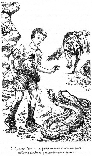 Иллюстрация к книге — Призраки бьют в барабаны [pic01.jpg]