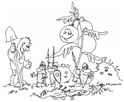 Иллюстрация к книге — Как избавиться от вредителей и болезней, не навредив себе [i_004.jpg]