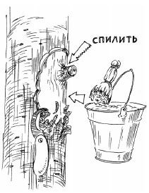 Иллюстрация к книге — Как избавиться от вредителей и болезней, не навредив себе [i_014.jpg]