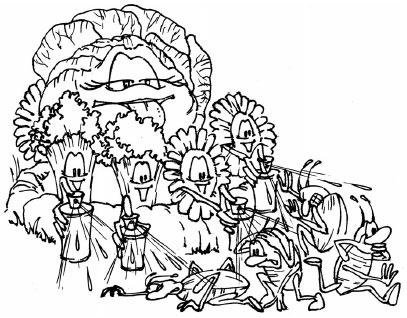 Иллюстрация к книге — Как избавиться от вредителей и болезней, не навредив себе [i_025.jpg]