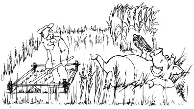 Иллюстрация к книге — Как избавиться от вредителей и болезней, не навредив себе [i_034.jpg]